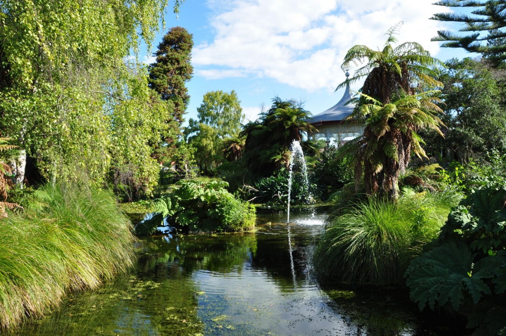 Beautiful town of Rotorua, New Zealand